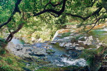 Cheonjiyeon waterfall
