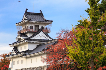 Toyama Castle
